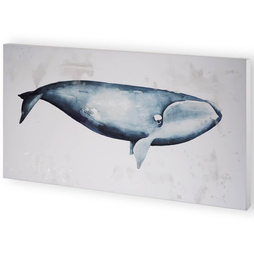 Whale Portrait III - Jordans Home
