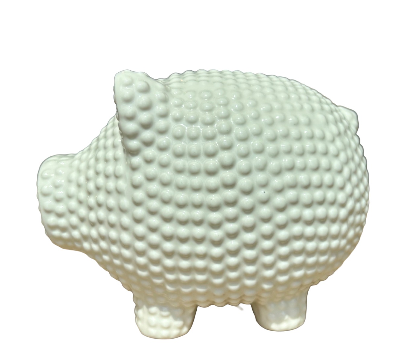 Ceramic Piggy Bank